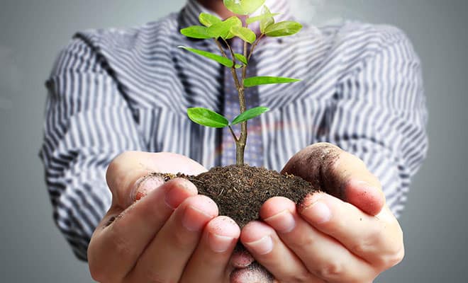יועץ משכנתאות מחיר למשתכן